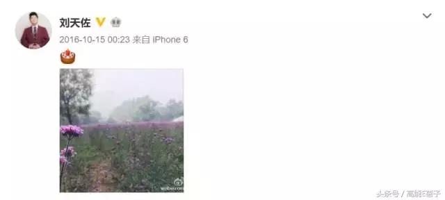 刘天佐是好的吗,刘天佐属于几线演员