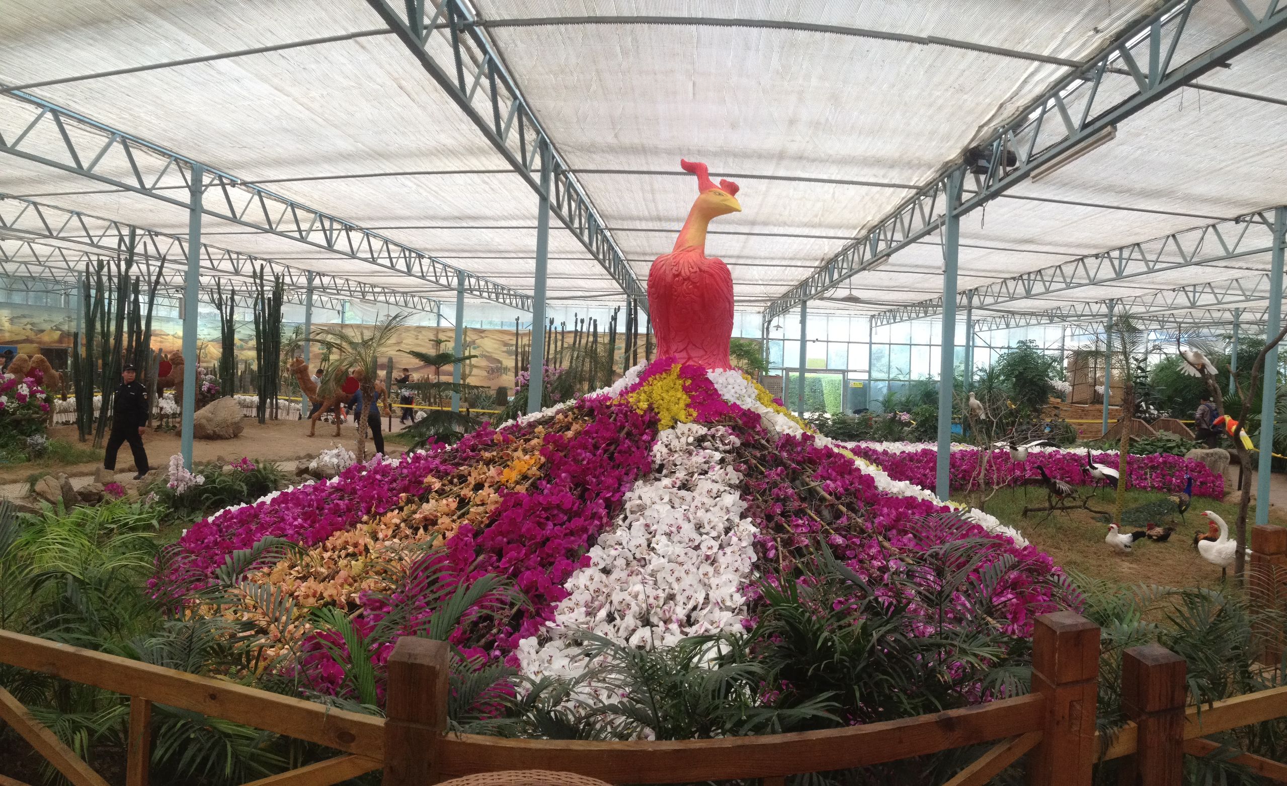 iphone4s经典怀旧版,12年前的苹果4s拍照有多牛