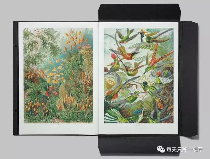 双十一你买什么最划算,双十一你们都买啥推荐一下