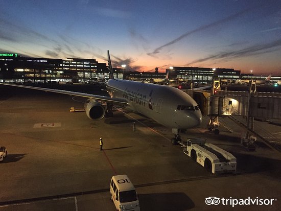 免税店双十一有优惠活动吗,红包折扣