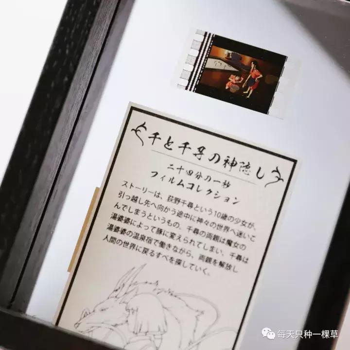 双十一你买什么最划算,双十一你们都买啥推荐一下