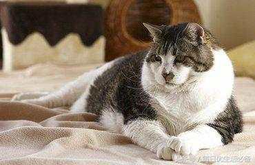 冬天拒绝臃肿瑜伽塑形,冬天拒绝身材臃肿