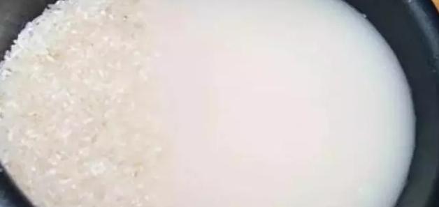 柴米油盐酱醋茶，养花效果不是一般得强！