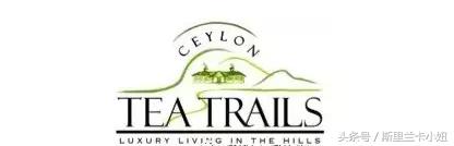 罗莱夏朵在中国性价比最高的酒店,国内的罗莱夏朵酒店