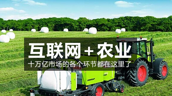 农村做什么生意赚钱创业项目,创业致富项目农村种什么赚钱