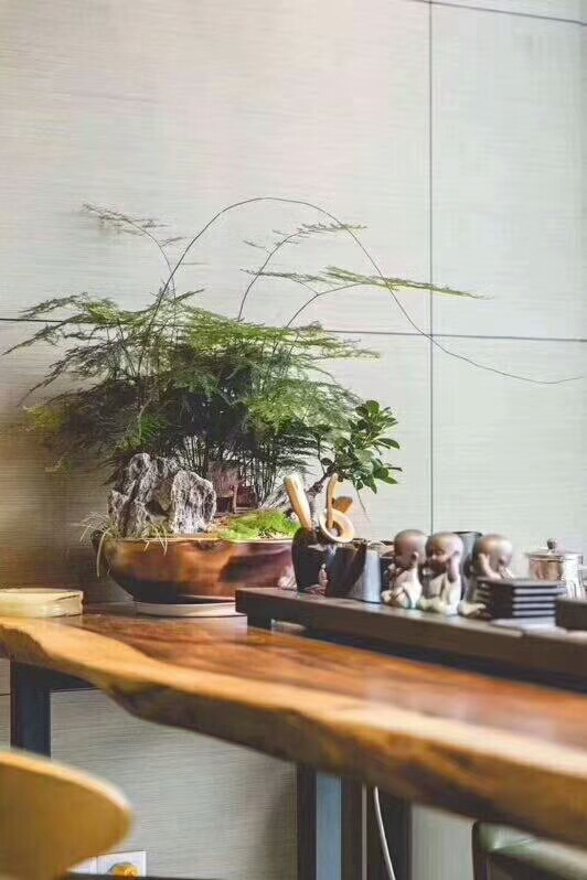 胡桃木有什么优点和缺点,胡桃木有深颜色的吗