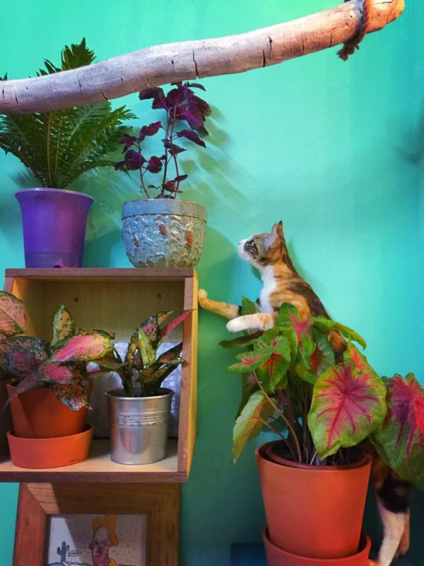 深圳有十几栋房子的90后女房东,90后女孩深圳租房