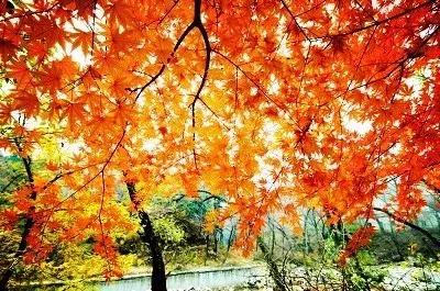 青岛最美地铁,青岛最美九大风景区