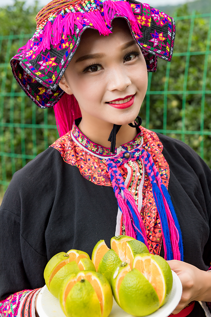 琼中绿橙发布会,琼中绿橙采摘旅游季