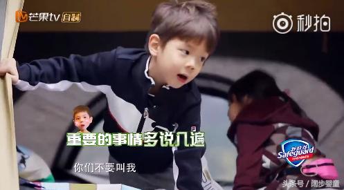 爸爸5jasper小泡芙,刘畊宏女儿泡芙和嗯哼陈小春