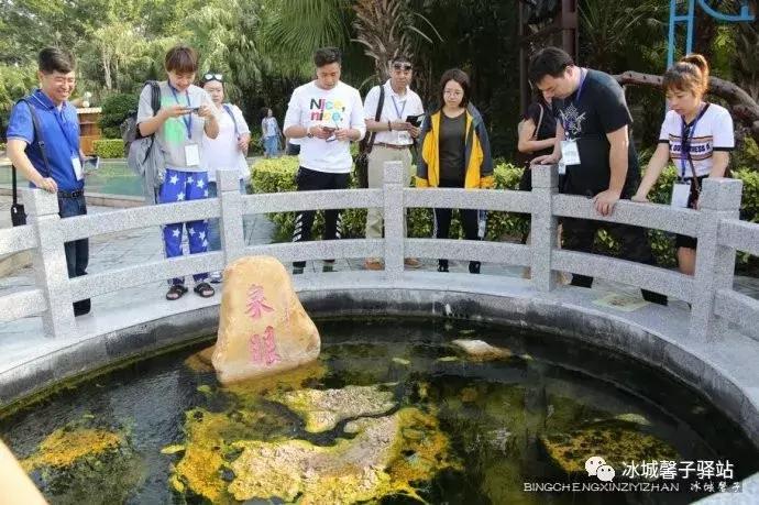 巽寮湾最美的海景,巽寮湾美丽的大海