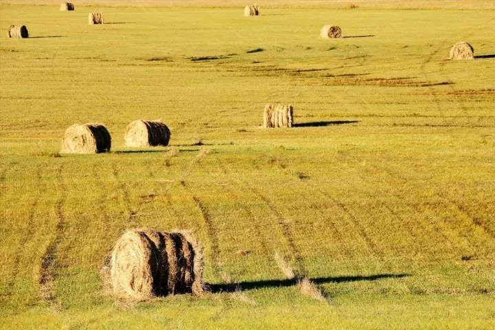 上班族出去旅行的9个真相！看完连毛孔都在哭……