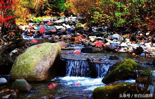 白山市老四季,长白山冬景