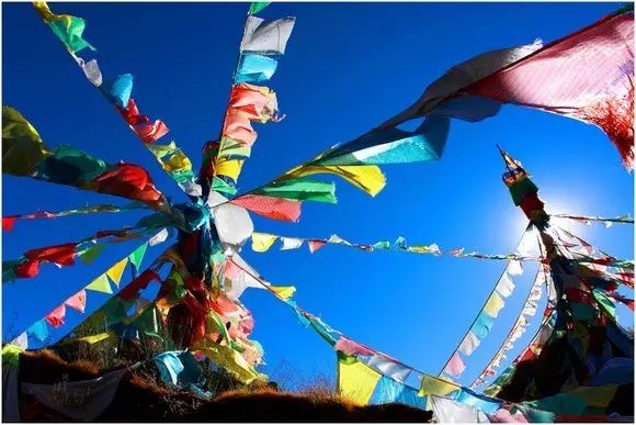 双十一｜光棍节，惠州紫溪半岛*光脱**攻略