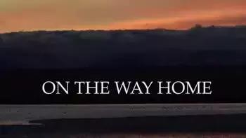 明天这16种东西禁止入境！别再问你的包裹为啥这么慢了