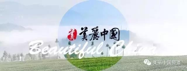 影者无疆完整版,影者无疆