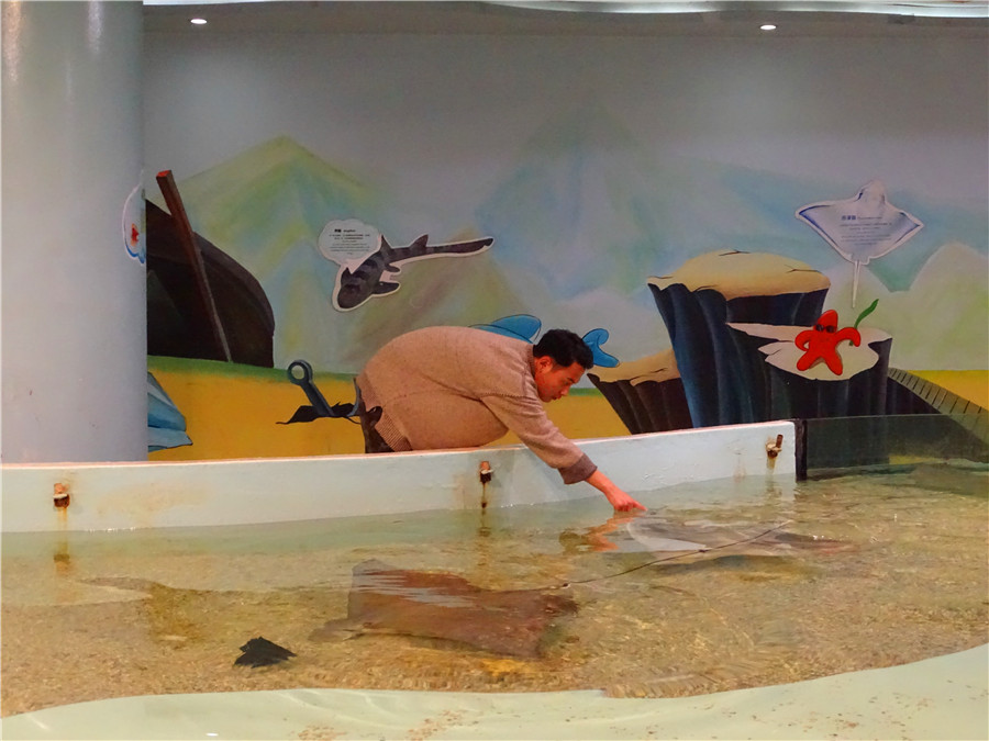 台州一日游的绝佳去处,台州旅游小众秘境