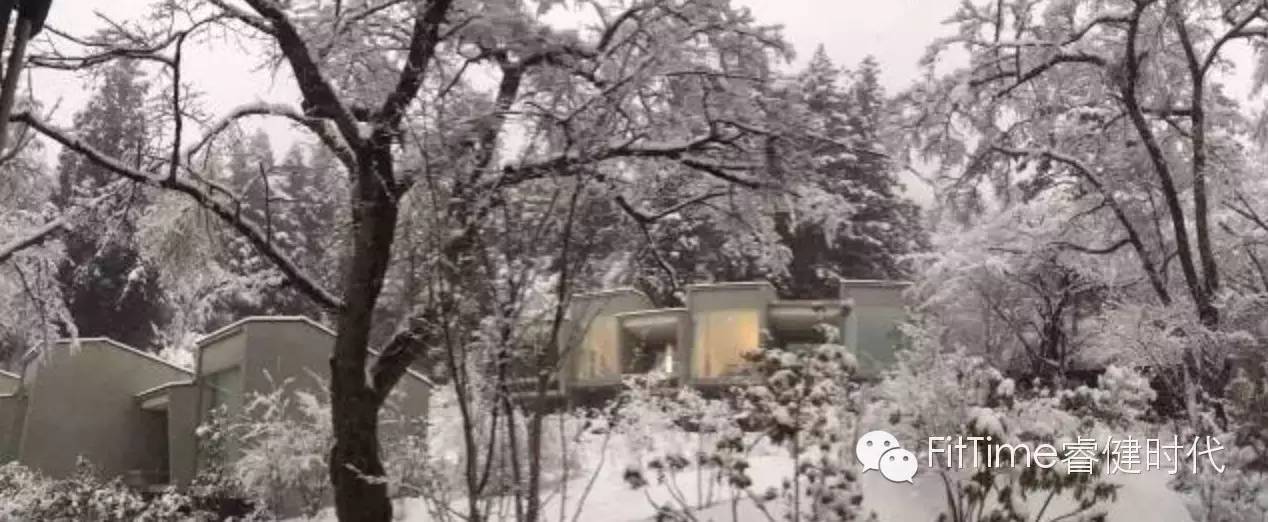 马拉松名古屋,名古屋马拉松完赛