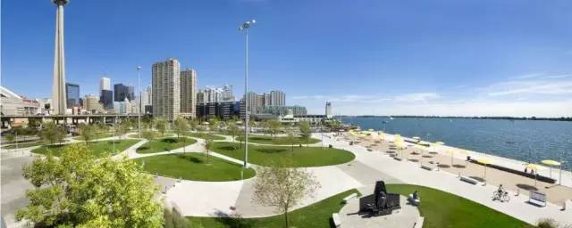 大型的景观草坪,好看的天然草坪