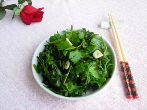 开春挖野菜教你轻松识别18种野菜,您知道春季最养肝护肝的野菜吗