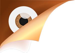 广西野生有毒水果,广西有毒的东西