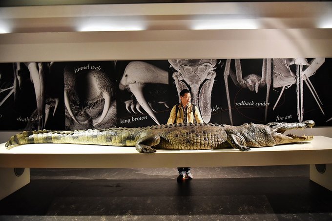 悉尼亲子游记,悉尼游记