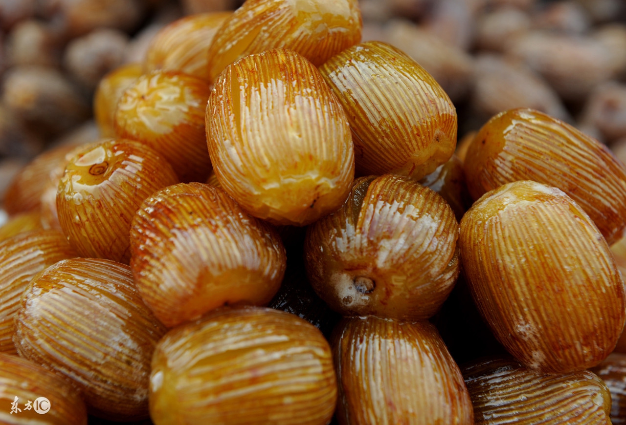 补血效果好是蜜枣还是红枣,大枣和蜜枣补血一样的吗