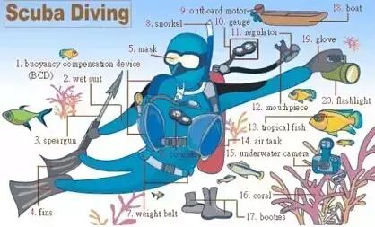 最常用的英语单词汇总表,史上最全英语词汇图