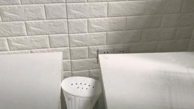 200块钱的衣服如何穿出10000的气质,挂烫机什么款式的好用