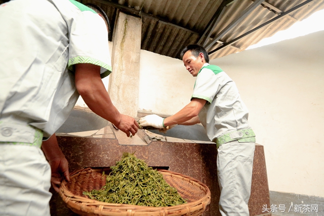 茶叶酸涩怎么回事,茶叶涩味重的原因是什么呢