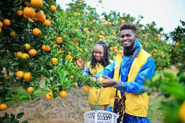 台州一日游的绝佳去处,台州旅游小众秘境