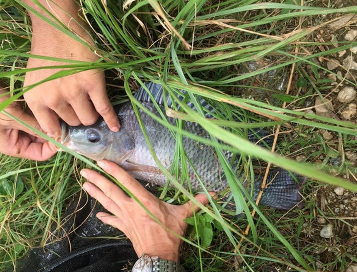湛江千人钓鱼视频,疯狂钓鱼人钓到了最大的鱼