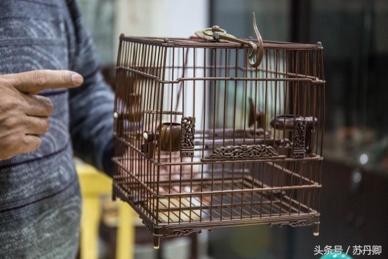 他靠炒股赢来的钱传承了近一辈子的宫廷鸟笼