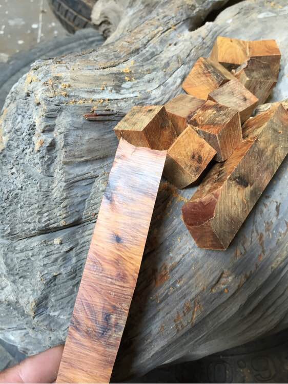 崖柏手串的历史,关于崖柏的那些事