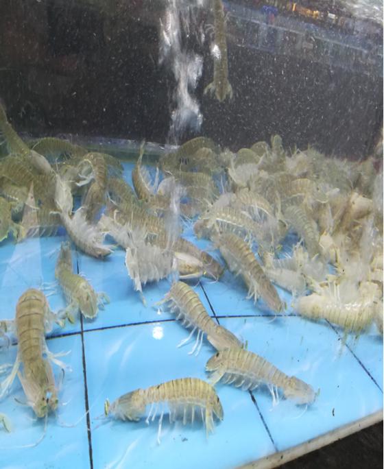 三亚送的14个免费海上游玩项目,三亚必买10件礼物