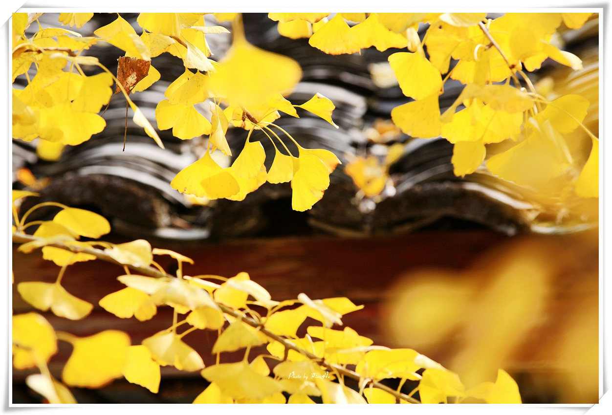 科普天空为什么是蓝色,关于天空的科普短视频