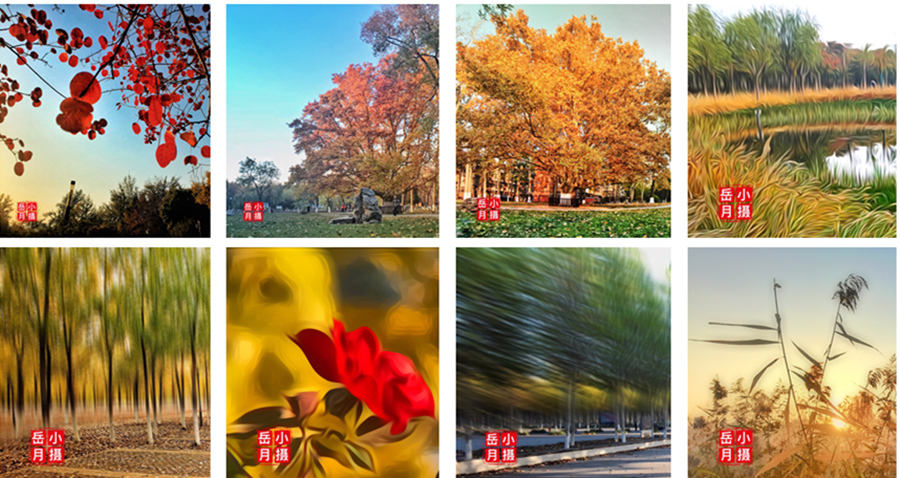 怎么快速给多张照片加水印,水印相机如何一次发多张照片