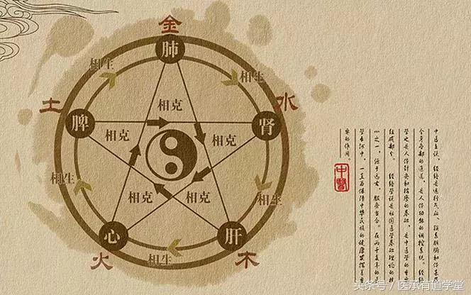 脏腑理论学,脏腑辨证口诀的正确顺序