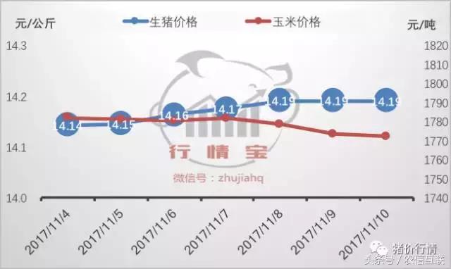 养猪一年能赚多少钱,2019年养猪挣500亿