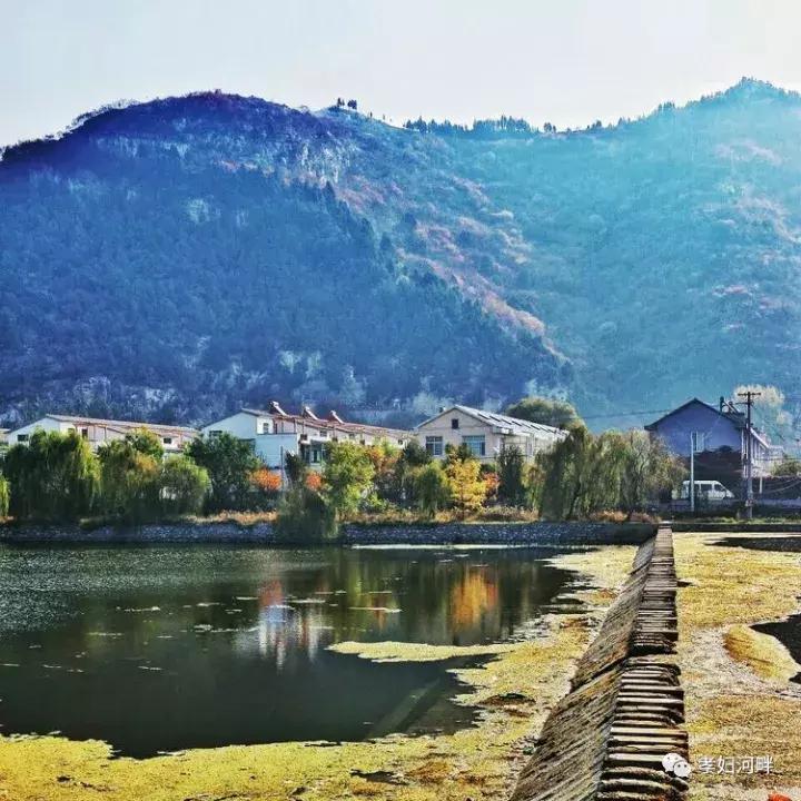 博山区银杏树,博山源泉淄博二中