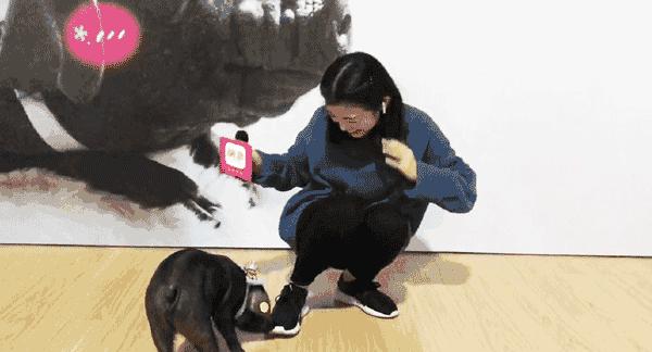 网易考拉跨境电商模式,网易考拉电商业务