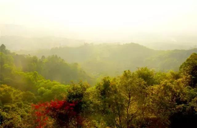 别再跟我说“母鸡”去哪玩！广州48个一日游免费景点推荐！