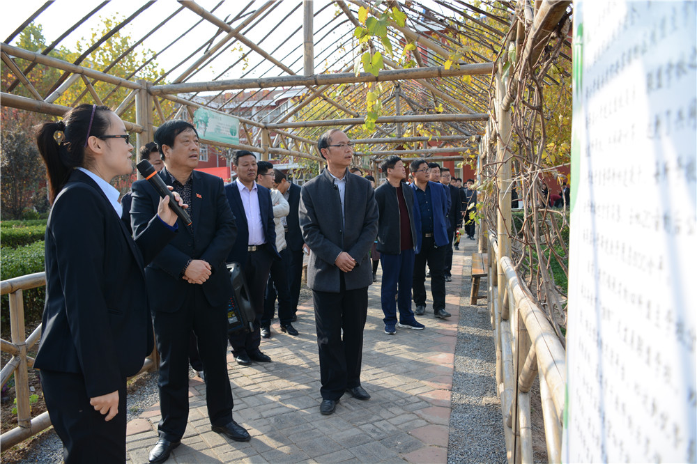 曲周教育局长校园足球,新征程新学校再出发