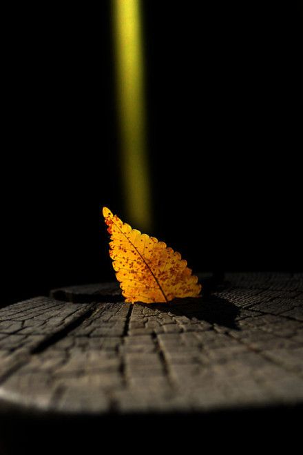 余生要和爱的人在一起文本,余生要和爱的人在一起图片