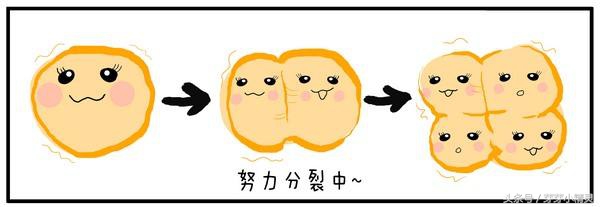 六龄齿牙齿终生不换,六龄牙坏了一半最有效的方法