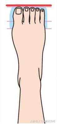 脚趾的形状还有这种说法，快来看看你属于第几种