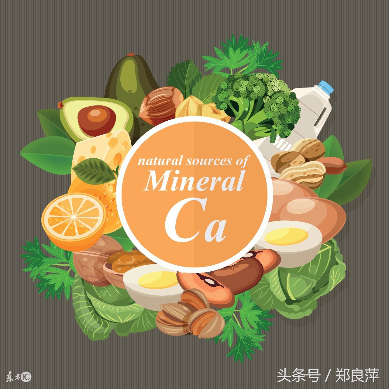 全国各地土特产大全一览表及价格 (全国各地的土特产大全)