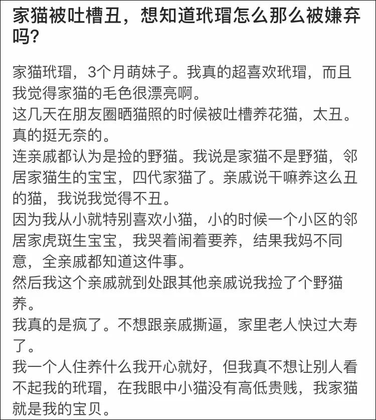 玳瑁猫最丑的猫,玳瑁猫长得好凶