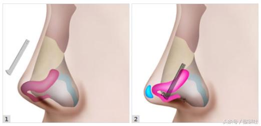 甜美少女养成,甜美养成记学生党