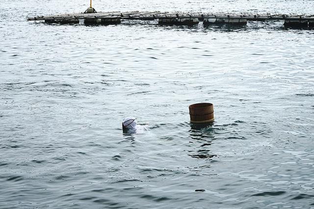 日本关西夏日赏——今夕传媒旅行家出品